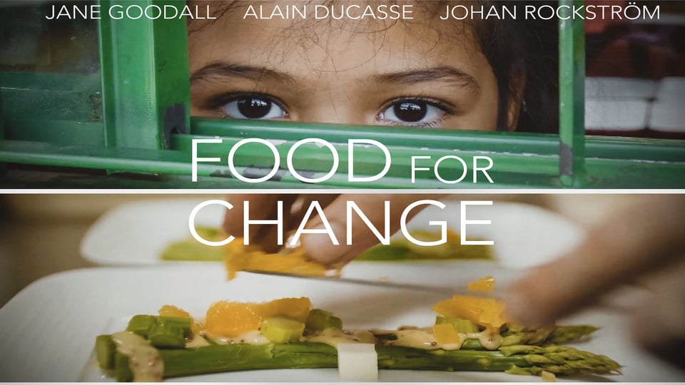 Food for Change cover image showing a child looking through a window. There's a plate of asparagus underneath.