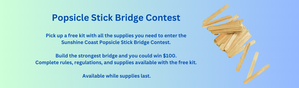 popsicle stick bridge contest